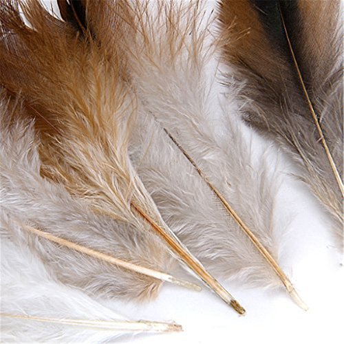 ERGEOB Hahn Feder – Ideen für die Kostüme, Hüte, Home dekor circa 100 stück 12-18cm braun - 3