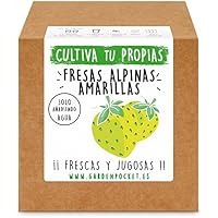 Amazon.es: Huertos urbanos y kits: Jardín