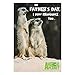 Produktbild Hallmark Discovery Channel Vater 's Day Karte "Meerkats – Medium