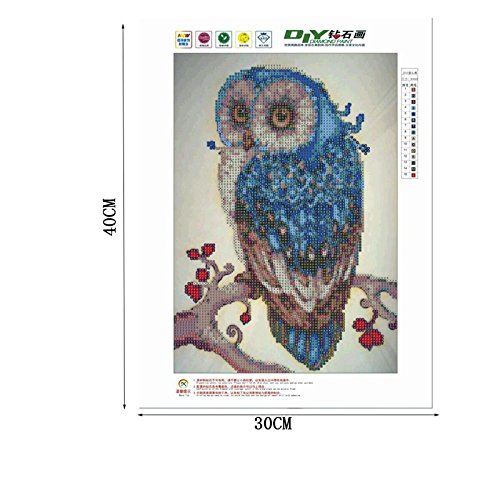 5 D Diamond Painting Bild Handarbeit Set Basteln Diamanten Strass Eule Blau - 4
