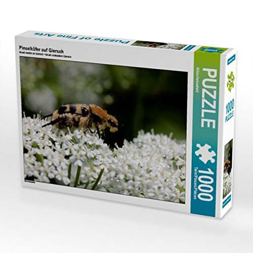 Preisvergleich Produktbild Pinselkäfer auf Giersch 1000 Teile Puzzle Quer