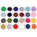 Fashion Gallery 24 Colors Velvet Flocking Powder Manicure Nail Art Set