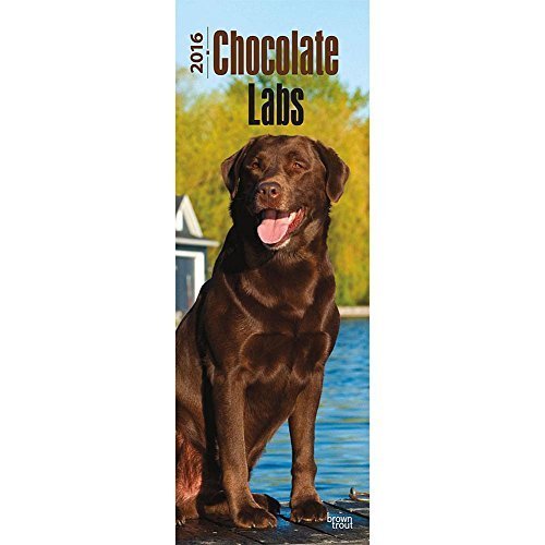 Baby Animals 2016 Slim by BrownTrout Publishers (2015-08-01)