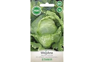 WegAna lechuga iceberg Stamir 1g semillas, semillas de hortalizas de propagación de semillas de lechuga de jardín de efecto invernadero