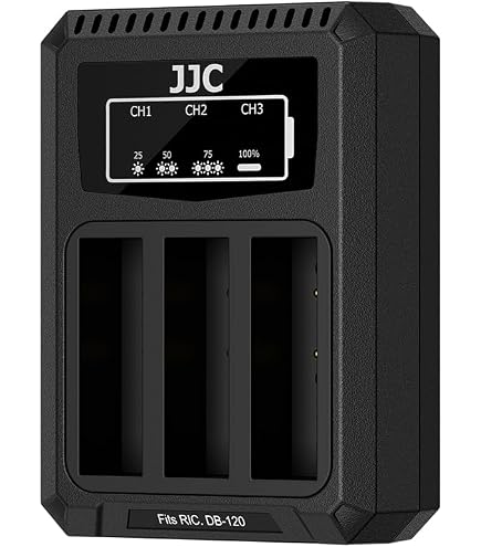 Ricoh Battery Charger BJ-12: Amazon.co.uk: Electronics & Photo