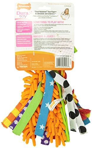 nylabone happy moppy