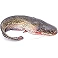 Freshly Frozen Whole Large Catfish | 1 Unit ~1.5kg