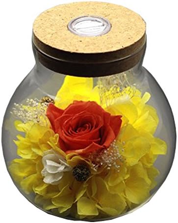 [New Version 2018] Havenfly Handmade Preserved Flowers Rose Decor with Apple-Shaped Glass-Best Gift for Valentine's Day, Mother's Day, Birthday (Orange)