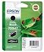 Produktbild Epson T0541 Tintenpatrone Frosch, Singlepack Foto schwarz