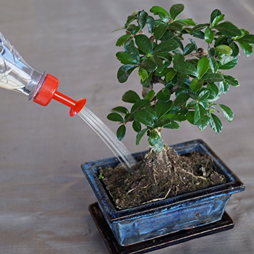 Gießaufsätze für Wasserflaschen. 4 Stück im Set. Perfekt für die Pflanzenaufzucht, Setzlinge, Bonsai, Samen. - 5