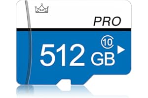ZSFHONG 512GB Micro SD Memory Card Class10 TF Card with SD Adapter for Phone,Tablet, Game Console,Dash Cam,Camcorder