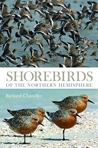 Télécharger Shorebirds of the Northern Hemisphere. Livre PDF Gratuit