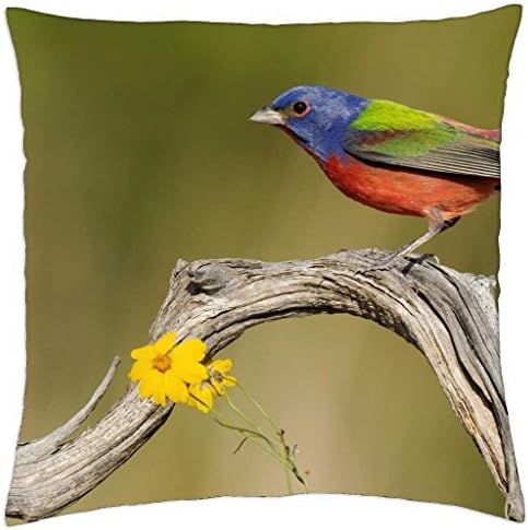 Colorfull Bird - Throw Pillow Cover Case (18" x 18")