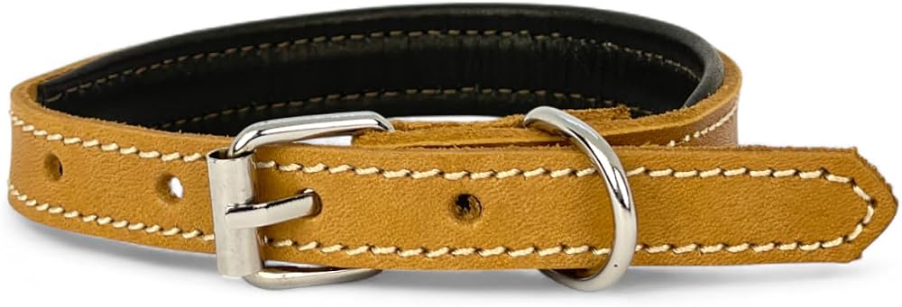 Canini Collar Rainbow Hakiki Deri Köpek Tasması – XXS Beden, Yumuşak İç Deri, Krom Kaplamalı Toka & D-Halka, 13 Farklı Renk Seçenekleri (Taba)