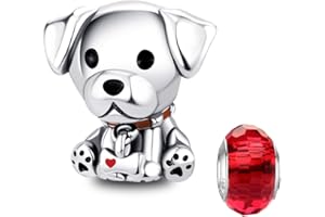 LNQOBU Zawieszka ze srebra wysokiej próby 925 kompatybilna z europejskimi bransoletkami i naszyjnikami Pandora (z koralikami), Srebro, Cyrkonia sześcienna