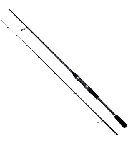 Okuma Fishing Tackle CSX-S-1002H Cedros Surf CSX Graphite Saltwater Spinning Rods : Amazon.de: Sports & Outdoors Okuma Fishing Tackle CSX-S-1002H Cedros Surf CSX Graphite Saltwater Spinning Rods : Amazon.de: Sports & Outdoors