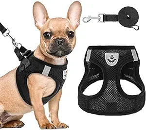 iXport? Puppy Harness and Leash Set - Soft Mesh Dog Vest Harness, Reflective & Adjustable Harness for Small to Medium Dogs, Cats and Puppies (XL)
