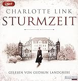 Image de Sturmzeit (Die Sturmzeittrilogie, Band 1)