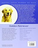 Image de Golden Retriever (Nuevas guías perros de raza)