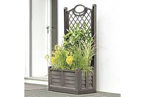 FRANKYSTAR Jardinière Séparè avec évasion de 80 cm en PEHD avec effet bois 3D. Couleur blanc, cappuccino, gris fer forgé Fabriqué en Italie (Chaper)