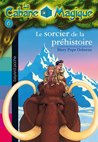 couverture de : Le sorcier de la pr&eacute;histoire