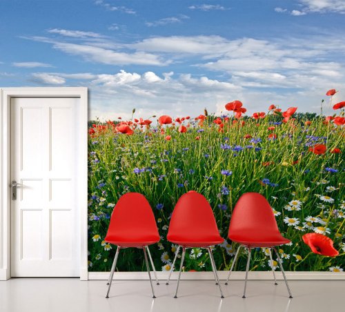 Fototapete Blumenwiese KT493 Größe: 350x260cm Feld Sommer Blüten - 2