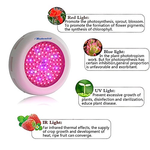 Roleadro 270W Pflanzenlampe UFO LED Grow Lampe Vollspektrum mit UV Licht per Gewächshaus Pflanzen Wachstum und Blüte - 5