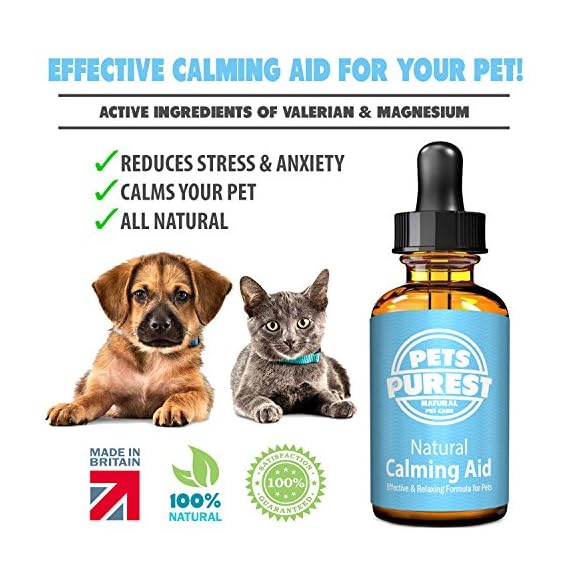 Pets Purest Supplément calmant Normal d'aide de 100 pour des Chiens