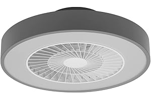 ‎LEDVANCE LEDVANCE Smarte WiFi LED Deckenventilator Leuchte, Zylinder förmig, grau, dimmbar, regelbare Luftgeschwindigkeit, inklusive Fernbedienung, steuerbar über App und Sprachassistenten, einfache Montage