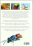 Image de Enciclopedia Completa de los Insectos (Grandes Obras)