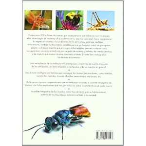 Enciclopedia Completa de los Insectos (Grandes Obras)
