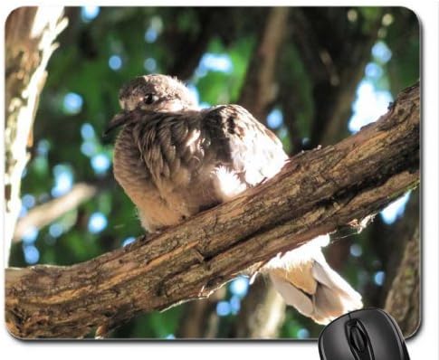 Morning Dove Baby Mouse Pad, Mousepad (Birds Mouse Pad)