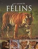 Image de Les grands félins