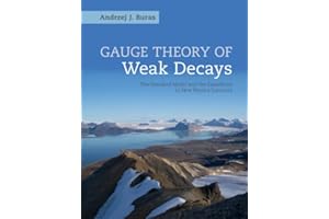 Gauge Theories of Weak Decays (Cambridge Monographs on Particle Physics, Nuclear Physics an): The Standard Model and the Expedition to New Physics Summits