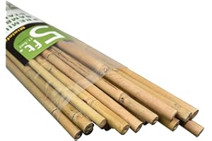 Mininfa Natural Bamboo Canes 5 Feet, Bamboo Stake, Eco-friendly Garden Stakes, Plant Stakes Supports Climbing for Tomatoes, Trees, Beans, 20 Pack