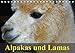 Produktbild Alpakas und Lamas (Tischkalender 2016 DIN A5 quer): Südamerikas wuschelige und spuckende Wiederkäuer (Geburtstagskalender, 14 Seiten) (CALVENDO Tiere)