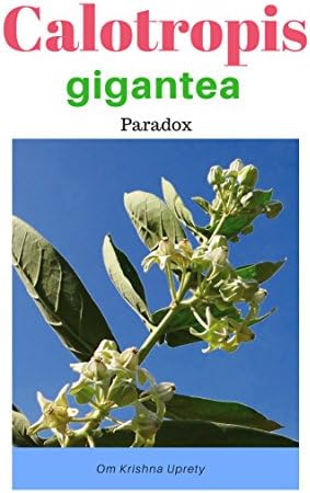 Calotropis gigantea: Paradox