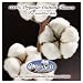 (6 PACK) - Cotton Soft - Facial Tissue Cube | 56pieces | 6 PACK BUNDLE