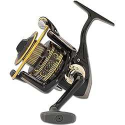 Ryobi Arctica 6000