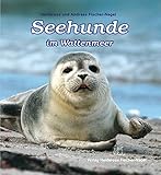 Seehunde im Wattenmeer bei Amazon kaufen