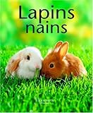 Image de Lapins nains