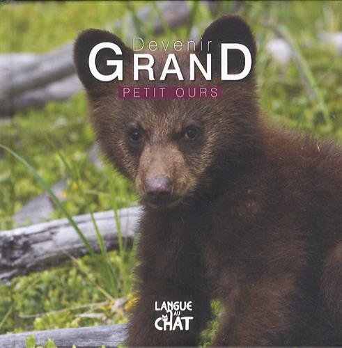 couverture de : Petit Ours