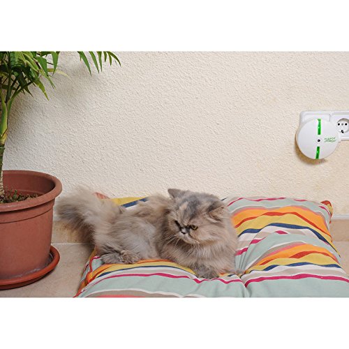 PURIPOD® – der Lautlose Ionen-Luftreiniger in Minutenschnelle – Original aus dem TV-Werbung - 4
