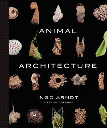 Animal Architecture
