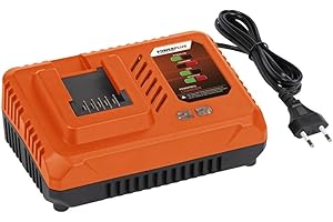 Powerplus POWDP9051 – 4.0A – per batterie e batterie da 20 V & 2 x 20 V – Piattaforma batteria – Ideale per avvitatore a batteria, piccolo trapano, avvitatore UVM
