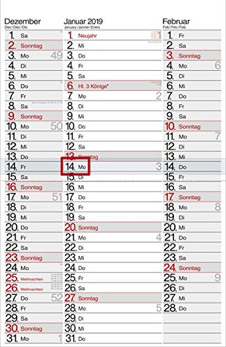 3-Monatskalender - Streifenplaner 2019 - Wandkalender / Bürokalender (30 x 59 geöffnet) - mit Datumsschieber - mit Jahresübersicht