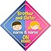 Brother And Sister On Board Personalised Car Sign New Baby / Child Gift / Present