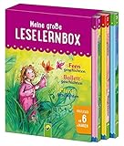 Meine große Leselernbox - Feengeschichten, Ballettgeschichten, Pferdegeschichten: Empfohlen ab 6 Jahren by 