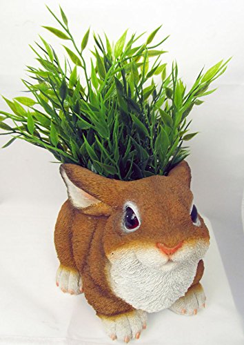 Häschen als Gartendeko Gartenfigur Pflanztopf Schuh Blumentopf Übertopf Hase Tiere Wildlife Deko Figur Frog - 2