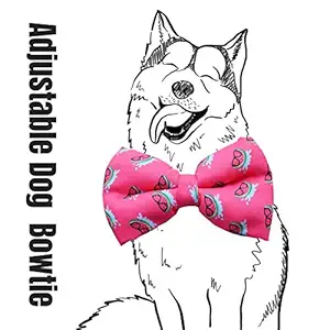 Dog Bow Tie by Lana, Quirky & Cool Dog Fashion Accessory with Easy to use Adjustable Strap - Pink Melons